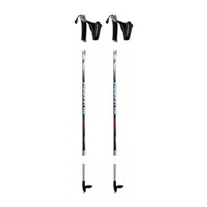 BLIZZARD-XC Performance senior cross-country poles, silver Šedá 120 cm