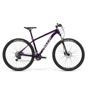 AMULET-29 Night cat 2.0 SR, royal purple/white, 2023 Fialová 29" S