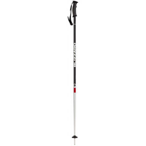 BLIZZARD-Rental junior ski poles Šedá 100 cm 20/21