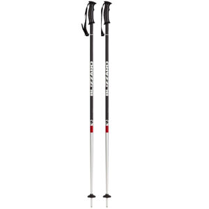 BLIZZARD-Rental ski poles Mix 120 cm 20/21
