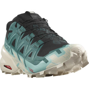 SALOMON-Speedcross 6 GTX black/harbor blue/rainy day Čierna 46 2/3